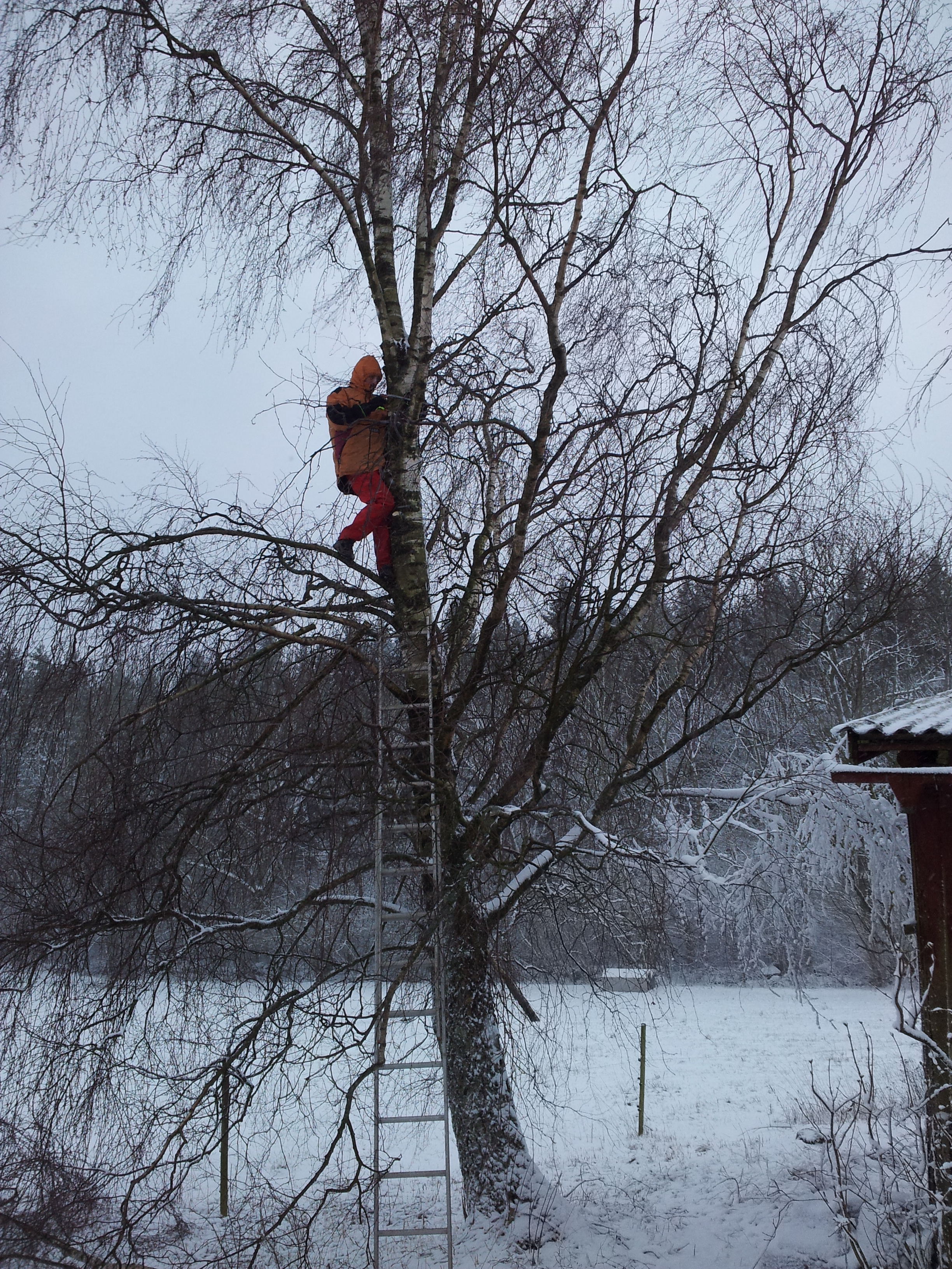 20150201_095206